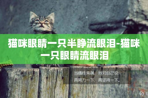 猫咪眼睛一只半睁流眼泪-猫咪一只眼睛流眼泪